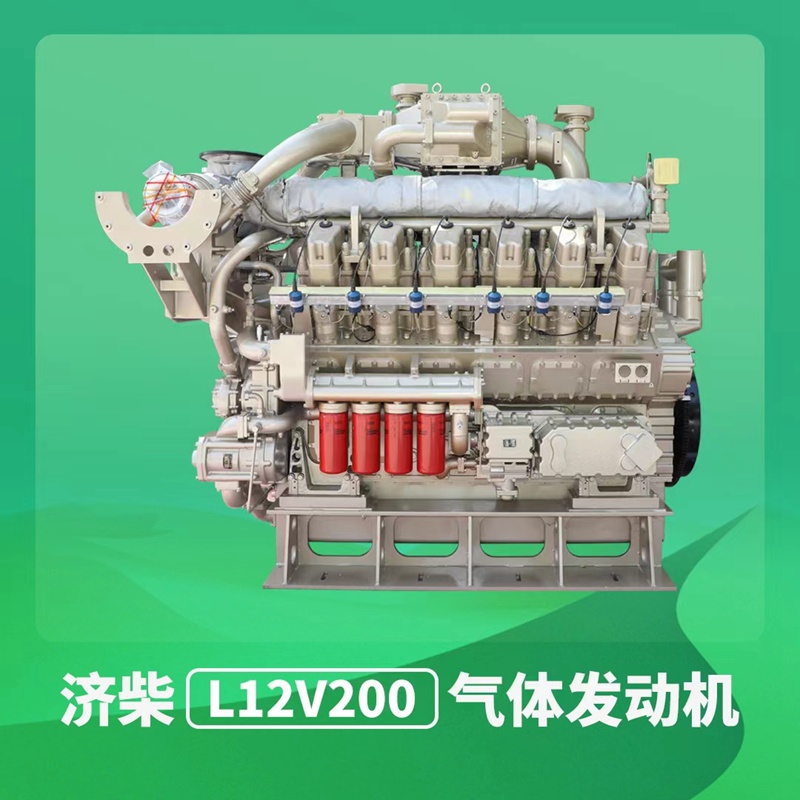 1000KW বায়োগ্যাস জেনসেট