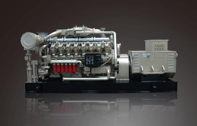 1000KW প্রাকৃতিক গ্যাস জেনারেটর
